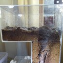 렙타일케이지 이미지