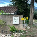 시고르스테이 이미지