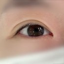 현대아이텔(시청역 6번출구) | [대전 둔산] 둔산동 시청역 속눈썹펌 잘하는곳! 유이오뷰티 C컬 블랙펌 후기