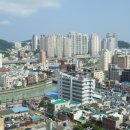 황령산 편백단지 Daum카페