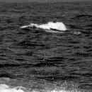 청산아트홀 이미지