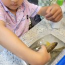 아주르키즈풀빌라 | 일상 :: 부산근교 밀양 아주르키즈풀빌라 재방문 내돈내산 솔직후기