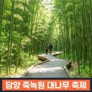 강진의밤포차 | 5월 전남 가볼만한곳 추천 2026 축제 일정·입장료 총정리