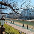 온천천시민공원 동백 이미지