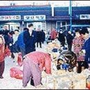 정산장 | 청도군 - 청도장 특산물 산나물,약초,복숭아,감