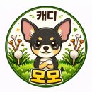 현직 캐디가 하고 싶은 말, 강아지한테 시켰습니다 😂 이미지