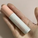 틴트메카 | 여쿨이 써본 에뛰드 진저슈가 립 세럼 03 누디베이지 솔직 후기