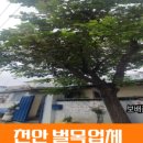 역골중앙로41번길 이미지