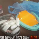 네한유통 이미지