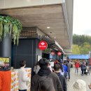 부귀리벗꽃 이미지