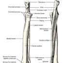 래플즈 동물병원 이미지