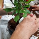 양동경로당 이미지