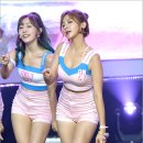 해인 마이데일리