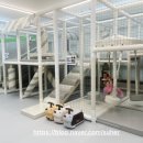 아이잼어린이집 | 용인 수지구 무인키즈카페 추천 아이잼키즈룸 방문 후기 내돈내산