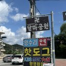[가평] 가평 맛집 양수리연핫도그 | 간식거리 추천