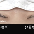 이엘래쉬