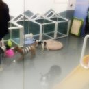 대학로동물병원 이미지