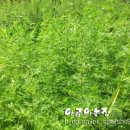 야곱의농장 이미지