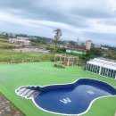 제주도 간장남들 이미지