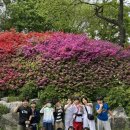용인대 동양합기도 이미지