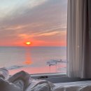 용궁가리비 | 묵호 감성 숙소 스테이용궁131 추천 후기(예약, 가격, 인근 맛집, 가볼만한곳)