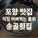 송골 | [포항 물회 맛집 추천] 전현무계획 출연한 송골횟집 솔직 후기