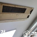 그린케어스 이미지