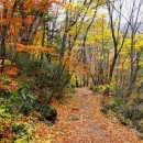 제일병원 이미지