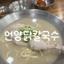 [부산/하단] 부산 하단 닭칼국수 맛집 언양닭칼국수 하단점 주차 솔직후기