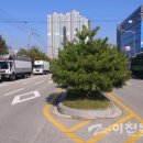[도로]행정타운 사거리 이미지