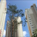 청아람아파트 이미지