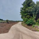 시흥리-6 이미지