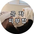 WR(서울특별시 광진구)-[능동로]-상-22 | [군자] 피부합, 효과 좋은 건대피부관리 피부합 윤곽관리 후기