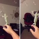 카멜레온 이미지