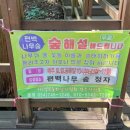 건천 편백나무숲 티스토리