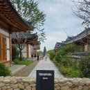 풍경주 | [경주 여행] 아이데리고 가기 좋은 고분뷰 한옥카페, 테라로사 경주점 후기
