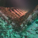 씨워드하우스 | 25/11/09 울진 씨워드스쿠바하우스 펀다이빙 후기