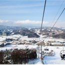 알펜시아리조트 이미지