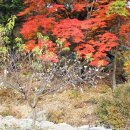 한내초교 이미지