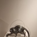 제주 현대미술관 이미지