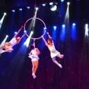 추억의 동춘서커스 이미지