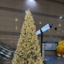 김해국제공항 국제선청사 | 부산 김해공항 국제선 대한항공 프레스티지 KAL 라운지 위치 음식 메뉴 이용후기