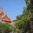 녹색 | 사진 잘 나오는 꿀팁을 포함한 쓰차오 녹색터널 후기, NOL 예약으로 할인받기