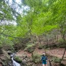 원주 치악산 1,181m남대봉 최단코스 원주 상원사 주차장에서 등산후기