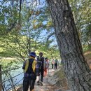 제814차, 폭염도 물리친 봉암 수원지와 편백숲길 (동영상 포함) 이미지