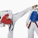 한국체대 태권도장 이미지