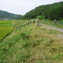 낙동강제방(3) 이미지