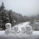 메디코의원 이미지