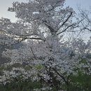 세상의 모든 향기