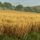 동인천호텔야자 이미지